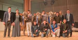 grand champion lubra bs  