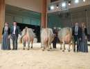 grand champion lubra ob  v.l.n.r  aurel anita  lordan linda  harlei holdria