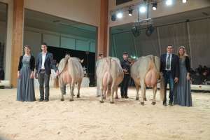 grand champion lubra ob  v.l.n.r  aurel anita  lordan linda  harlei holdria