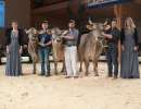 grand champion lubra ob