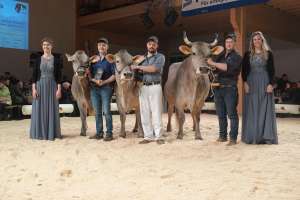 grand champion lubra ob