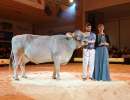 grand champion lubra ob lordan linda