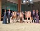 junior schoeneuter v.l.n.r  calvin cacahu  huge sg et elegance  huge sg et havanna