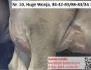 10. huge wonja euter