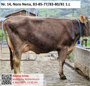 14. noro nena seite