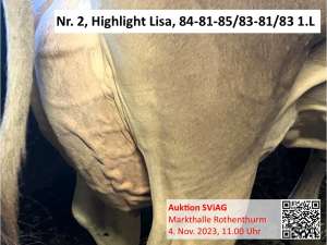 nr. highlight lisa euter