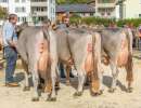 betriebscup.rang portmann fabian