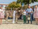rinderchampion amrein david