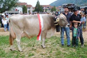 miss arth kuessnacht lennox lena stefan haecki immensee