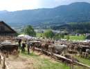 schauplatz oberarth