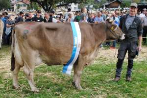 schoeneuter ob  heimo hani karl annen arth