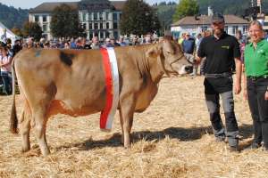 miss ob joel jacinta gisler bernhard einsiedeln