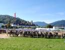schauplatz einsiedeln