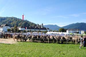 schauplatz einsiedeln
