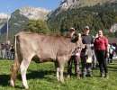 rinderchampion ob rooney lukashenka  tanja   hans trueb engelberg