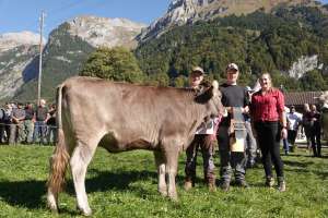 rinderchampion ob rooney lukashenka  tanja   hans trueb engelberg