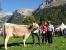 schoeneuter. 3. lakt. brice et ida  josef infanger engelberg  