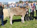 miss bs rind jeff happy familie diethelm tuggen
