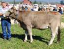 miss ob rind rasimus hulda reichmuth urs altendorf