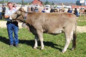 miss ob rind rasimus hulda reichmuth urs altendorf