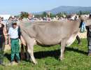 schoeneuter mittlere bays vanessa  zueger kevin maya vorderthal