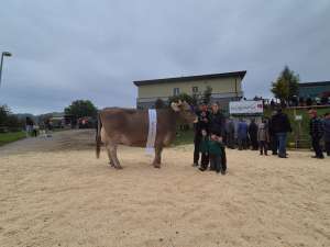 champion ob harlei holdria  