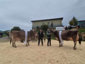 ob und bs champion