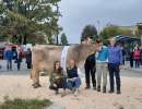 miss horw hergiswil lennox luna von studhalter beat fondlenhoehe horw