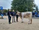 rinderchampion horw hergiswil clint wales von zrotz beat braendi hergiswil