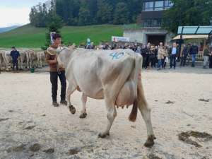 schoeneutersiegerin bormio primeli von blaettler markus simisrueti hergiswil