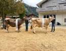 bs champion gerda und bs vize champion hawaii