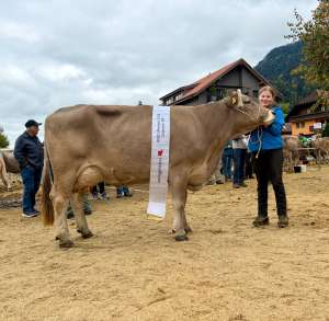 ob champion viamala