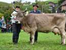 lorenz enziane von niederberger klaus aus oberdorf wurde fuer ihre ll vonkg milch geehrt