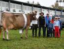 miss schoeneuter aeltere kuehe  tiziano  tiffany von sepp lussi aus oberdorf