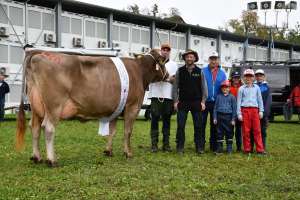 miss schoeneuter aeltere kuehe  tiziano  tiffany von sepp lussi aus oberdorf