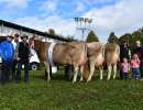 siegerpodest bs miss tiziano tiffany  vize miss joya und ehrenerwaehnung cayenne