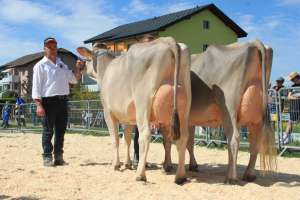 v.l. champion hofmatt aiven et amora  vice champion buholzers glenwood glenys