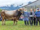 mister jongleur jubilar enz daniel giswil