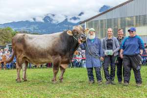 mister jongleur jubilar enz daniel giswil