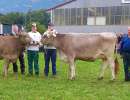 miss genetik ob harlei halma burch ruedi hostett stalden und miss genetik bv capri goldhill kathriner kobi sarnen angepasst