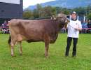 schoeneuter 2. und. laktation jeff jade von flueeler patrick alpnach dorf angepasst