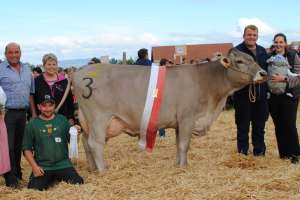 miss ob hoefe omar oliday gg franz und thomas sigrist wollerau