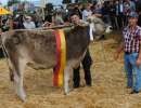 miss rind cavral camie beat horat schindellegi