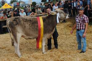miss rind cavral camie beat horat schindellegi