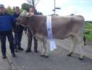 rinderchampion bs jackpot jane