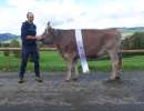 rinderchampion ob livius lobella