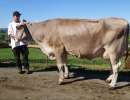 schoeneuter aeltere bs bender beverli beat scherer