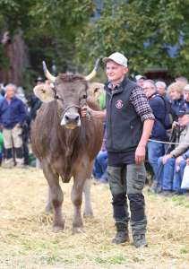 251004 uri viehschau