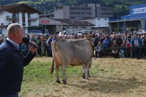 251004 uri viehschau