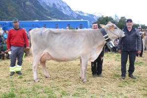 schoeneutersiegerin 4   ff. lakt. be alley von gisler arnold karl  oberes oberfeld 1  haldi ch.1460.7537.2 
